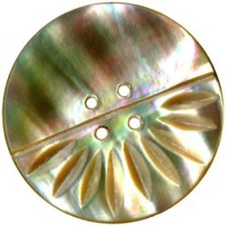 11-1 Iridescent Shell -  Trochus  (1")